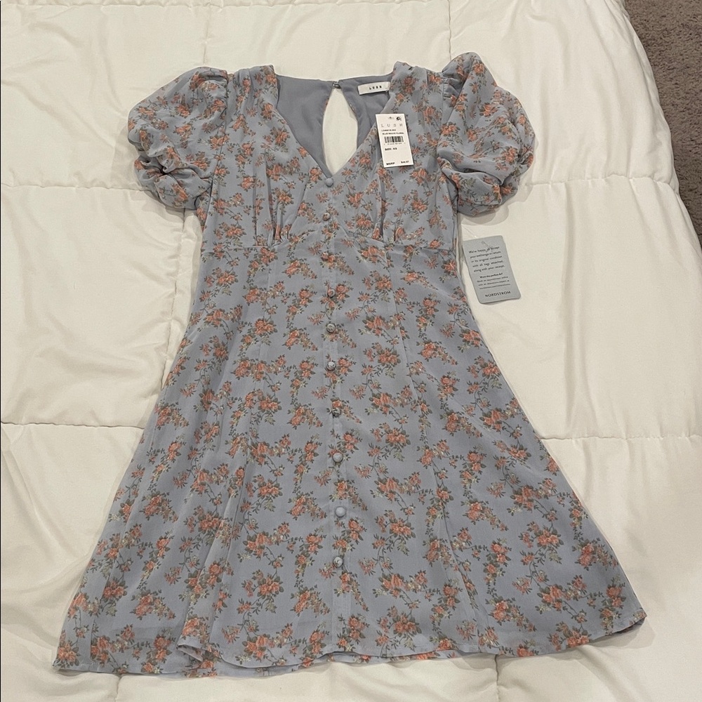 Lush Ditsy Floral Puff Sleeve Mini Dress